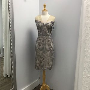 Tadashi shoji dress